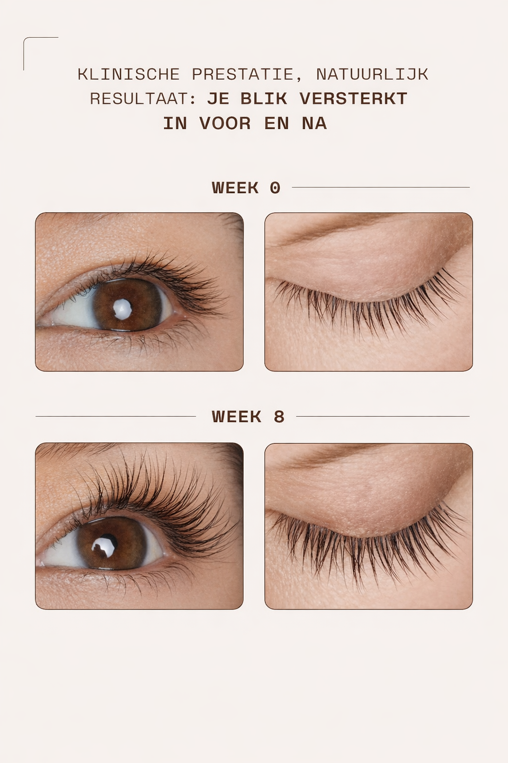 WimperBoost Serum™