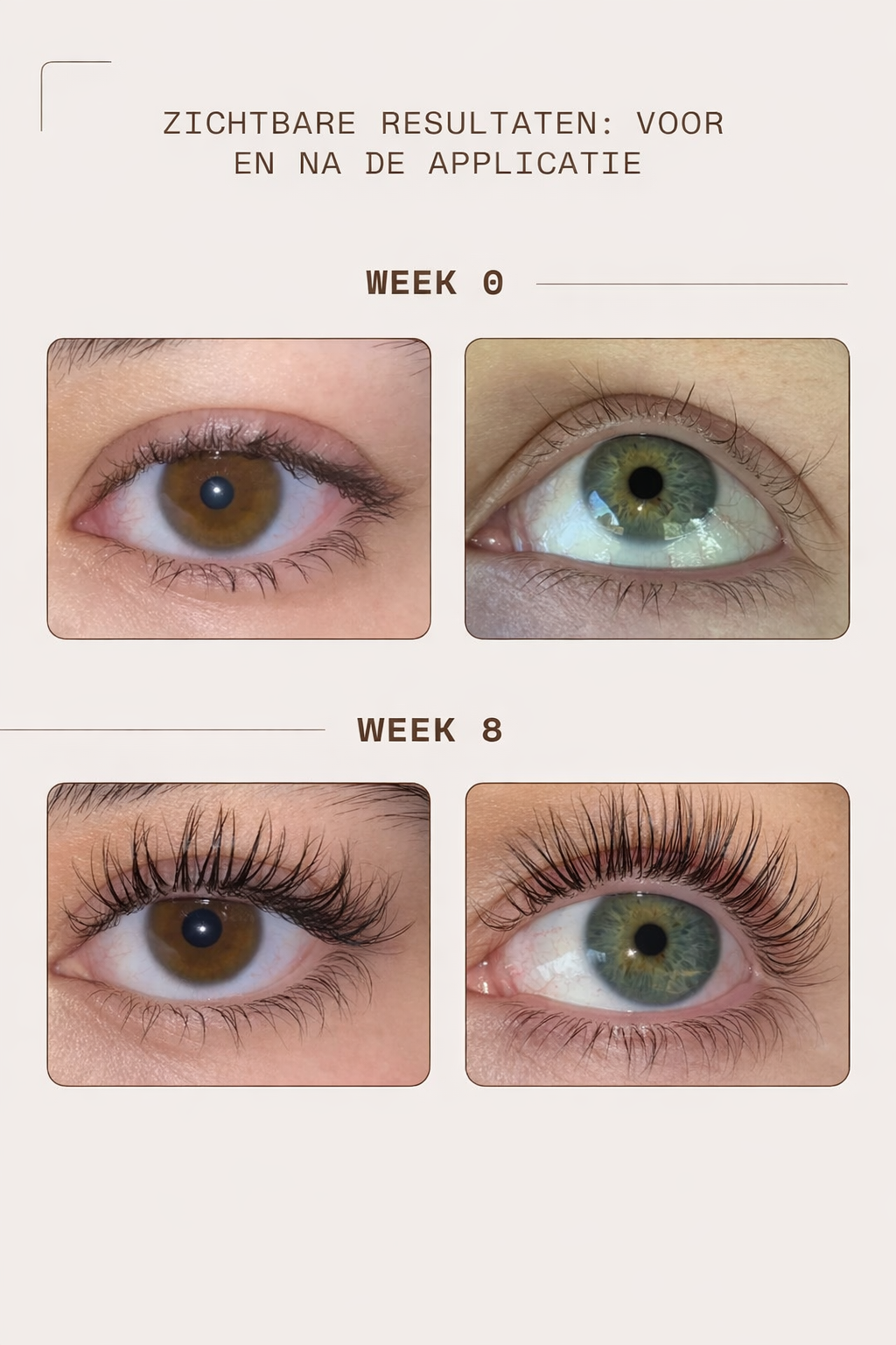 WimperBoost Serum™